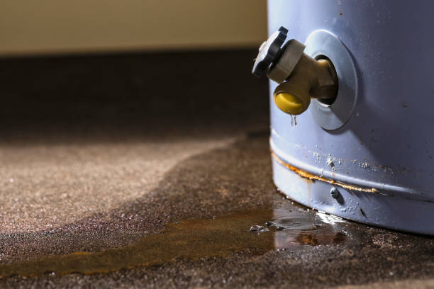 Best Water damage restoration near me  in Phoenix Lake, CA