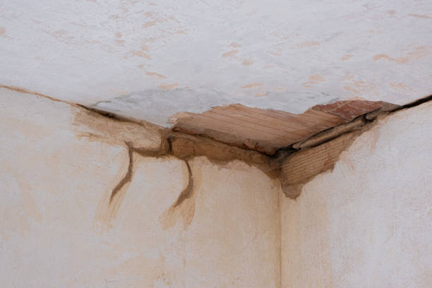 Best Basement water damage restoration  in Phoenix Lake, CA