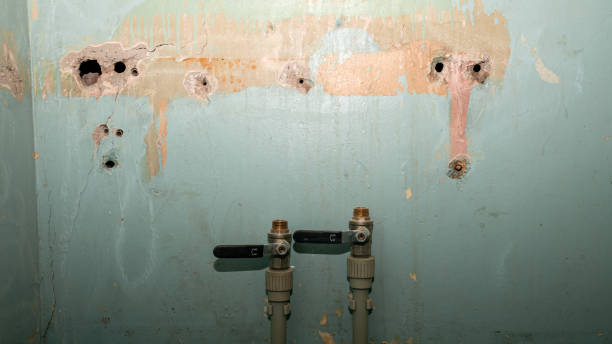 Best Carpet water damage restoration  in Phoenix Lake, CA