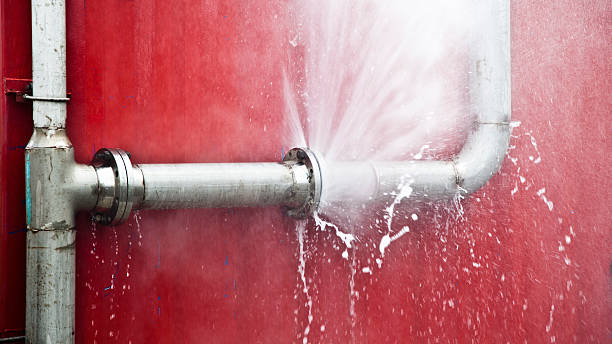 Best Water damage cleanup near me  in Phoenix Lake, CA