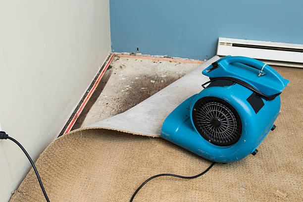 Best Flood damage cleanup  in Phoenix Lake, CA